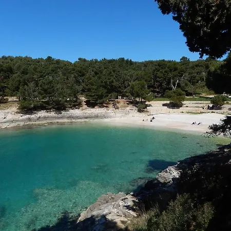 Gortanova In Stoja Mit Privater Terrasse By Interhome Appartamento *