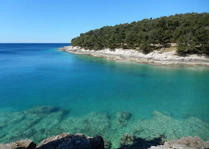 Gortanova In Stoja Mit Privater Terrasse By Interhome Apartment